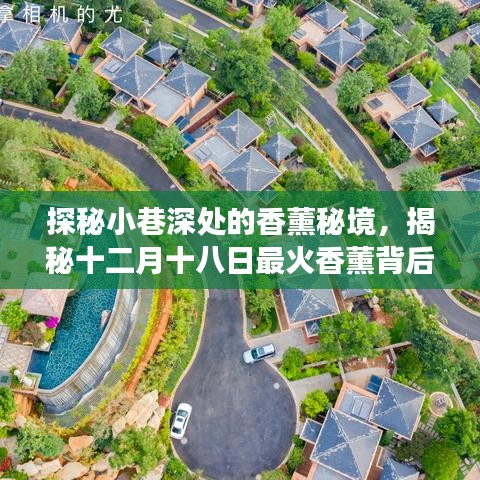 探秘小巷深处的香薰秘境，十二月十八日最火香薰背后的故事揭晓