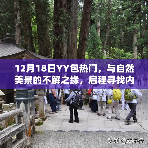 12月18日YY包热门，与自然美景的邂逅，启程探索内心宁静之旅