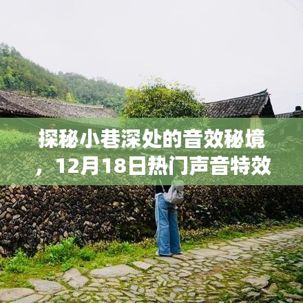 对开门 第23页