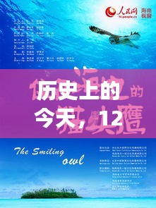 12月18日热门视频背后的励志故事，变化的力量与自信的魔法之旅