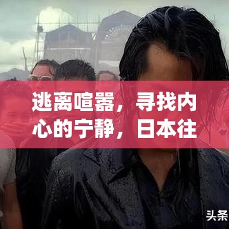 日本往年12月18日寻找内心宁静的自然美景之旅