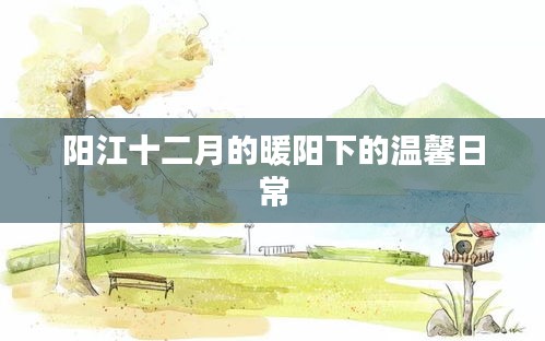 阳江十二月暖阳下的日常温馨画卷