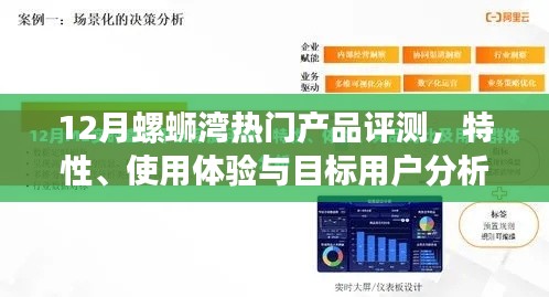 12月螺蛳湾热门产品全解析，特性、使用体验与目标用户深度剖析