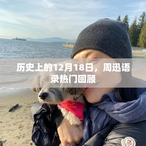 周迅语录热门回顾，历史上的12月18日回顾