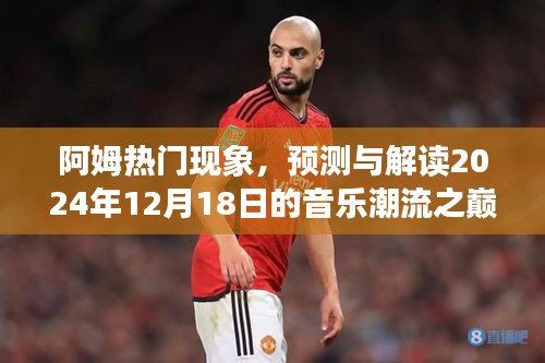 阿姆现象揭秘，预测与解读音乐潮流之巅 2024年12月18日展望