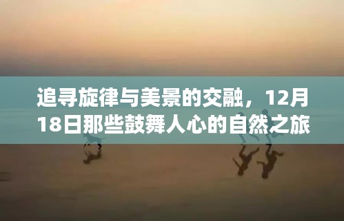 比张比李