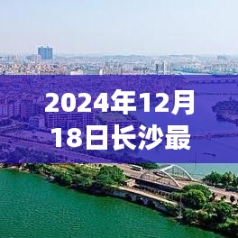 长沙热门人才聚焦，人才发展与职业前景展望（2024年）