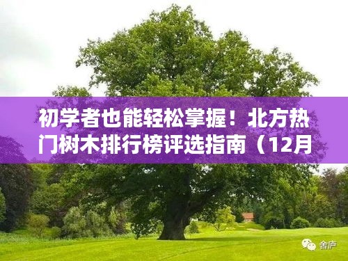 焚膏继晷