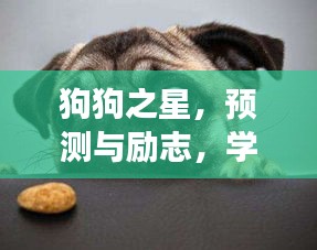 狗狗之星，预测与励志之旅——学习变化的力量与自信成长之路