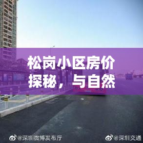 张牙舞爪