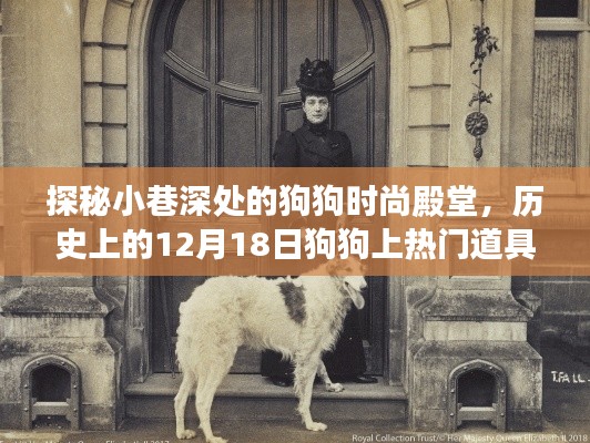 探秘狗狗时尚殿堂，揭秘狗狗道具背后的故事与狗狗上热门的历史时刻
