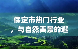保定市热门行业与自然美景的心灵之旅，远离尘嚣的邂逅