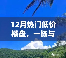 12月热门低价楼盘，与自然美景的邂逅，探寻内心平和宁静的居所
