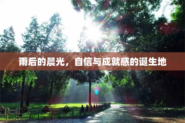 雨后的晨光，自信与成就感的源泉