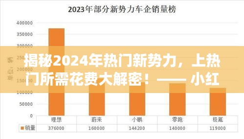 小红书独家揭秘，2024年新势力热门背后的花费大解密！