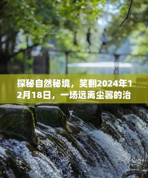 探秘自然秘境，远离尘嚣的治愈之旅，笑翻2024年12月18日