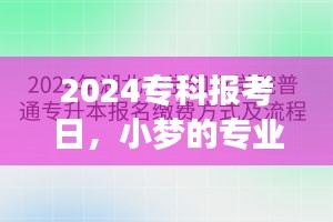 小梦的专业选择奇遇与友情的光辉，2024专科报考日的启示