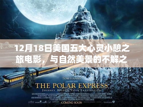 美国五大心灵小憩之旅电影，与自然美景的深情邂逅