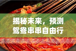揭秘未来鸳鸯串串自由行，探索精彩旅程的热门攻略（附2024年12月18日精彩行程）