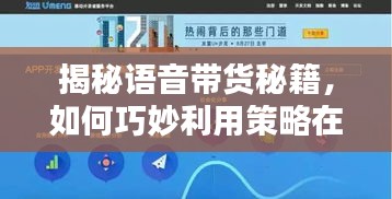 揭秘语音带货秘籍，引爆流量热门策略揭秘！