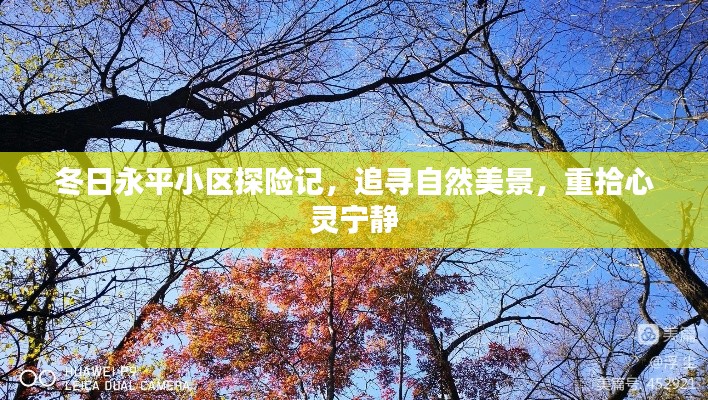 冬日永平小区探险之旅，追寻自然美景，心灵宁静的回归