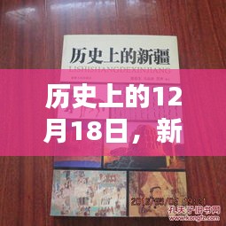 乌鸟私情