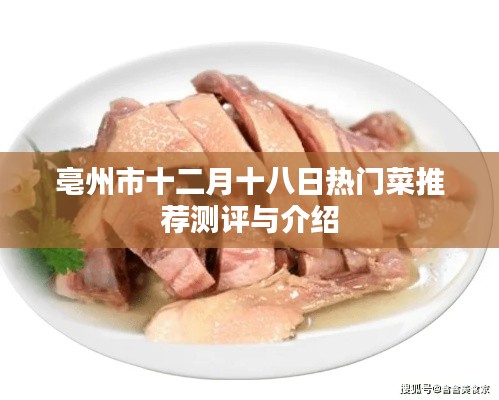 亳州市十二月十八日热门菜测评与介绍