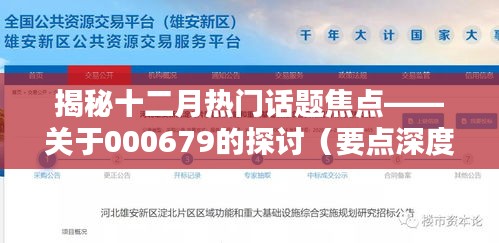 深度揭秘，十二月热议焦点——关于代码000679的全方位解读