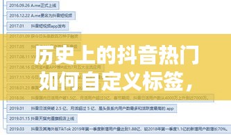 深度解析，如何自定义抖音热门历史标签的策略与观点阐述