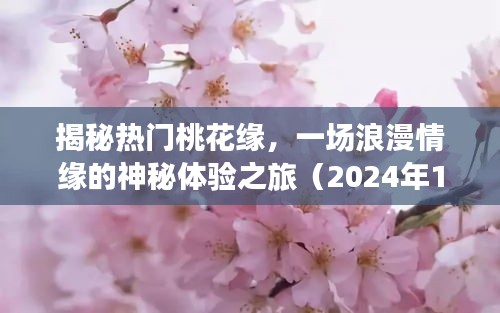 揭秘桃花缘的神秘之旅，浪漫情缘体验记（2024年12月版）