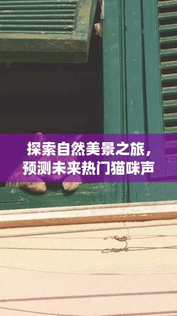 自然探索之旅，预测猫咪声音，寻觅心灵深处的宁静