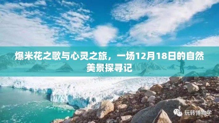 爆米花之歌与心灵之旅，探寻自然美景的奇妙之旅（12月18日）