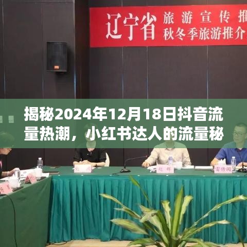 揭秘抖音流量热潮与小红书达人流量秘籍，2024年12月18日热点解析