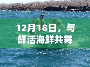 12月18日，海洋之旅，与鲜活海鲜共舞大自然寻找内心平静之旅