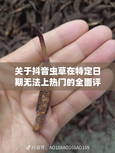抖音虫草特定日期无法上热门全面评测报告解析