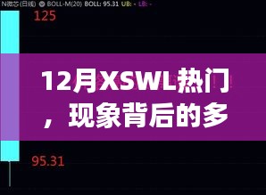 12月XSWL热门现象深度解析，多元视角与我的观点