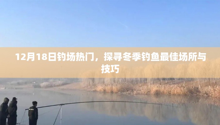 冬季钓鱼热门钓场探寻，最佳钓鱼场所与技巧揭秘（12月18日更新）