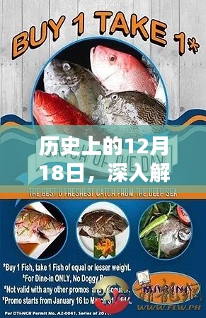 毛手毛脚