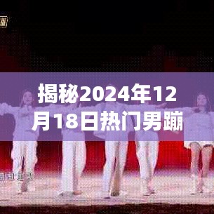 动感之夜，揭秘2024年热门男蹦迪狂欢盛宴，派对狂欢不停歇
