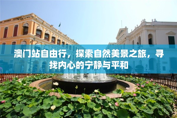 澳门站自由行，探寻自然美景，寻觅内心宁静与平和之旅