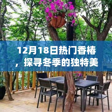 冬季香椿热潮，探寻独特美味与种植秘籍