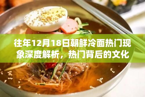往年12月18日朝鲜冷面现象深度解析，文化魅力与挑战探究