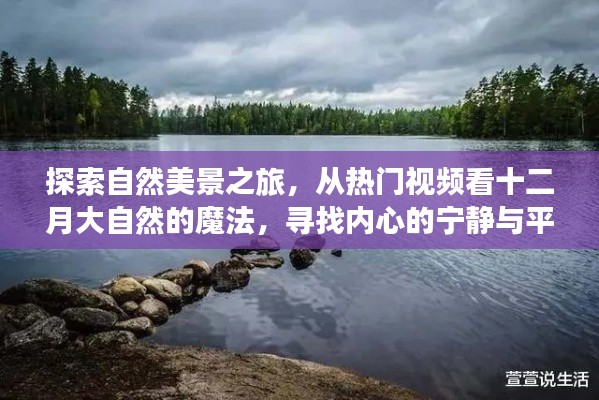 探寻自然魔法之旅，十二月美景尽收眼底，寻找内心的宁静与平和