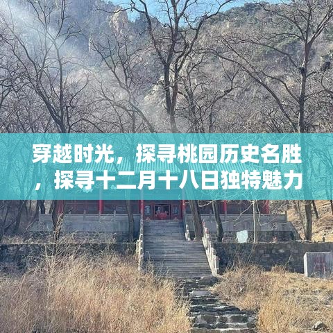 窗明几净