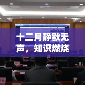 子母门 第14页