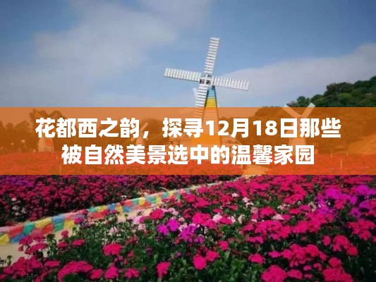 花都西之韵，探寻温馨家园的自然美景