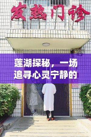 莲湖探秘，追寻心灵宁静与探寻历史发热门诊电话的奇妙旅程