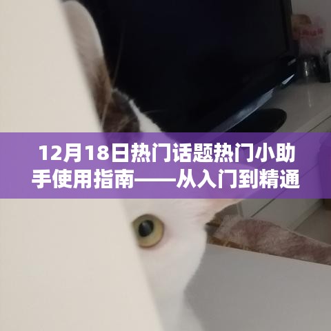 12月18日热门话题小助手使用指南，从新手到专家