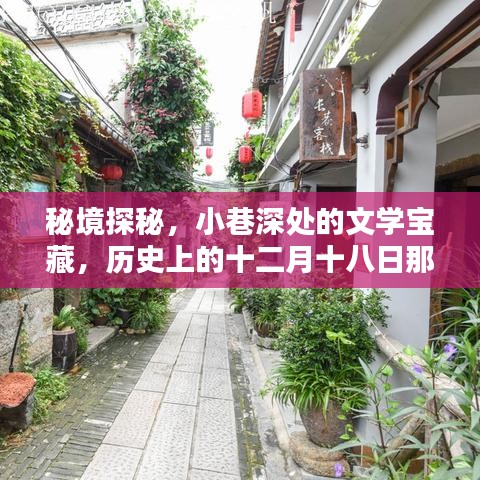 秘境探秘，十二月十八日文学宝藏的沉醉时光
