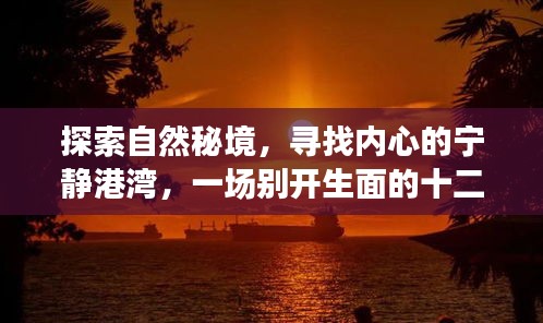 飞红滴翠